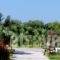 Evripides Village_best deals_Hotel_Dodekanessos Islands_Kos_Kardamena