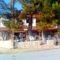 Marina Hotel_holidays_in_Hotel_Macedonia_Halkidiki_Nikiti