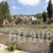 Studios Kirki_travel_packages_in_Ionian Islands_Corfu_Corfu Rest Areas