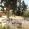 Studios Kirki_best prices_in_Hotel_Ionian Islands_Corfu_Corfu Rest Areas