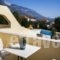 Pegasos Studios_lowest prices_in_Hotel_Ionian Islands_Kefalonia_Kefalonia'st Areas