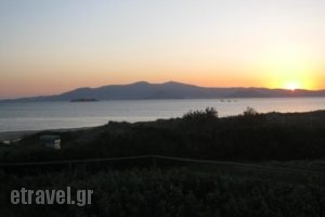 Aronis_best deals_Hotel_Cyclades Islands_Naxos_Naxos chora