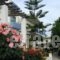 Apollon Hotel Apartments_holidays_in_Apartment_Crete_Rethymnon_Rethymnon City