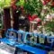 Studios Tasia_best deals_Hotel_Cyclades Islands_Naxos_Naxos chora