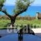 Avia_best deals_Hotel_Thessaly_Magnesia_Koropi