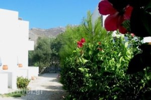 Kosmos Studios_lowest prices_in_Hotel_Dodekanessos Islands_Tilos_Tilos Chora