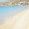 Studios Tasia_lowest prices_in_Hotel_Cyclades Islands_Naxos_Naxos chora