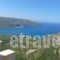 Olga House_travel_packages_in_Peloponesse_Lakonia_Itilo