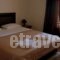 Hotel Cleopatra_holidays_in_Hotel_Thessaly_Magnesia_Zagora