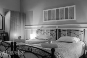 Vassilis Studios_best deals_Hotel_Central Greece_Evia_Neos Pyrgos