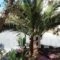 Anessis Studios_best deals_Hotel_Aegean Islands_Lesvos_Kalloni