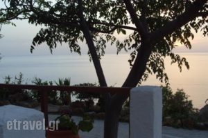 Orthostates Studios_holidays_in_Hotel_Aegean Islands_Samos_Samosst Areas