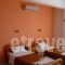 Yulia Studios_best prices_in_Hotel_Ionian Islands_Corfu_Corfu Rest Areas