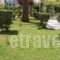 Brati - Arcoudi Hotel_best deals_Hotel_Peloponesse_Ilia_Arkoudi