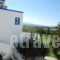 Hotel Tigaki's Star_lowest prices_in_Hotel_Dodekanessos Islands_Kos_Kos Rest Areas