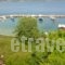 Thea Studios_lowest prices_in_Hotel_Sporades Islands_Alonnisos_Patitiri