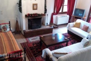 Arachova Houses_best prices_in_Hotel_Central Greece_Fokida_Delfi