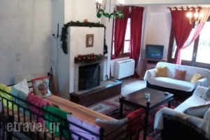 Arachova Houses_holidays_in_Hotel_Central Greece_Fokida_Delfi