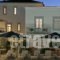 Zoe's Club_accommodation_in_Hotel_Piraeus islands - Trizonia_Spetses_Spetses Chora