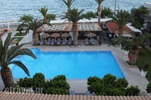 Evvoiki Akti Hotel_best deals_Hotel_Central Greece_Viotia_Thiva