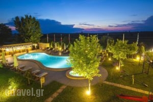 Sunny Hill Studios_travel_packages_in_Macedonia_Halkidiki_Kassandreia