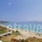 Rosa'S Beach Studios_travel_packages_in_Ionian Islands_Kefalonia_Vlachata