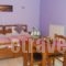 Zisis Garden Studios_holidays_in_Hotel_Epirus_Ioannina_Ioannina City