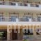 Mouses-X_accommodation_in_Hotel_Macedonia_Halkidiki_Nea Kallikrateia