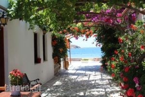 Mare Monte_best prices_in_Hotel_Cyclades Islands_Ios_Koumbaras