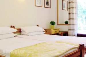 Katerina_holidays_in_Hotel_Central Greece_Evia_Edipsos