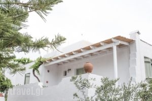 Nastasia Village_best deals_Hotel_Cyclades Islands_Naxos_Naxos chora