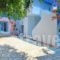 Dolphin Hotel_lowest prices_in_Hotel_Sporades Islands_Skopelos_Skopelos Chora