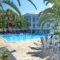 Dolphin Hotel_holidays_in_Hotel_Sporades Islands_Skopelos_Skopelos Chora