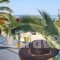 Dolphin Hotel_best prices_in_Hotel_Sporades Islands_Skopelos_Skopelos Chora