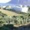 Panormitis  Studios_best deals_Hotel_Dodekanessos Islands_Kos_Kos Rest Areas