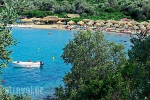 Hotel Kypreos_lowest prices_in_Hotel_Central Greece_Fthiotida_Kamena Vourla