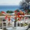 Filmar Hotel_travel_packages_in_Dodekanessos Islands_Rhodes_Ialysos