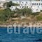 Hippocampus Hotel_accommodation_in_Hotel_Cyclades Islands_Paros_Paros Chora