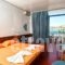 Hippocampus Hotel_holidays_in_Hotel_Cyclades Islands_Paros_Paros Chora