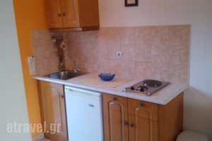 Akis Studio_accommodation_in_Hotel_Ionian Islands_Zakinthos_Alykes