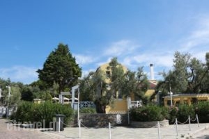 Sea Sun_best deals_Hotel_Aegean Islands_Lesvos_Plomari