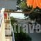 Hotel Drosia_best deals_Hotel_Central Greece_Evia_Edipsos