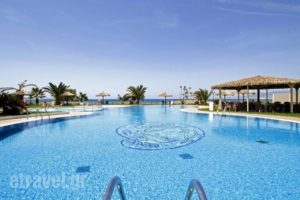 Plaza Beach Hotel_travel_packages_in_Cyclades Islands_Naxos_Naxos chora