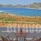 Aspes Village_lowest prices_in_Hotel_Cyclades Islands_Amorgos_Amorgos Chora