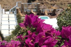 Ergina Studios_best prices_in_Hotel_Cyclades Islands_Ios_Ios Chora