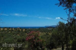 Ktirakia Studios_lowest prices_in_Hotel_Peloponesse_Lakonia_Gythio