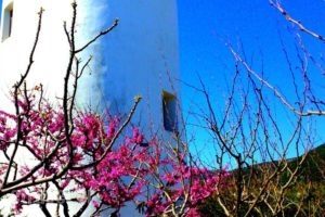 Windmill Complex_accommodation_in_Hotel_Cyclades Islands_Sifnos_Sifnos Chora