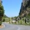 Vanessa Studios_travel_packages_in_Ionian Islands_Zakinthos_Zakinthos Rest Areas