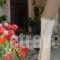 Vanessa Studios_best prices_in_Hotel_Ionian Islands_Zakinthos_Zakinthos Rest Areas